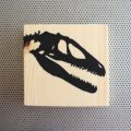 Velociraptor skull dinosaur bones silhouette from Toronto Canada