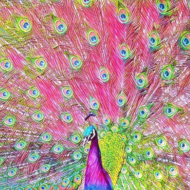 Psychedelic peacock, prisma filter of a High Park Toronto peacock